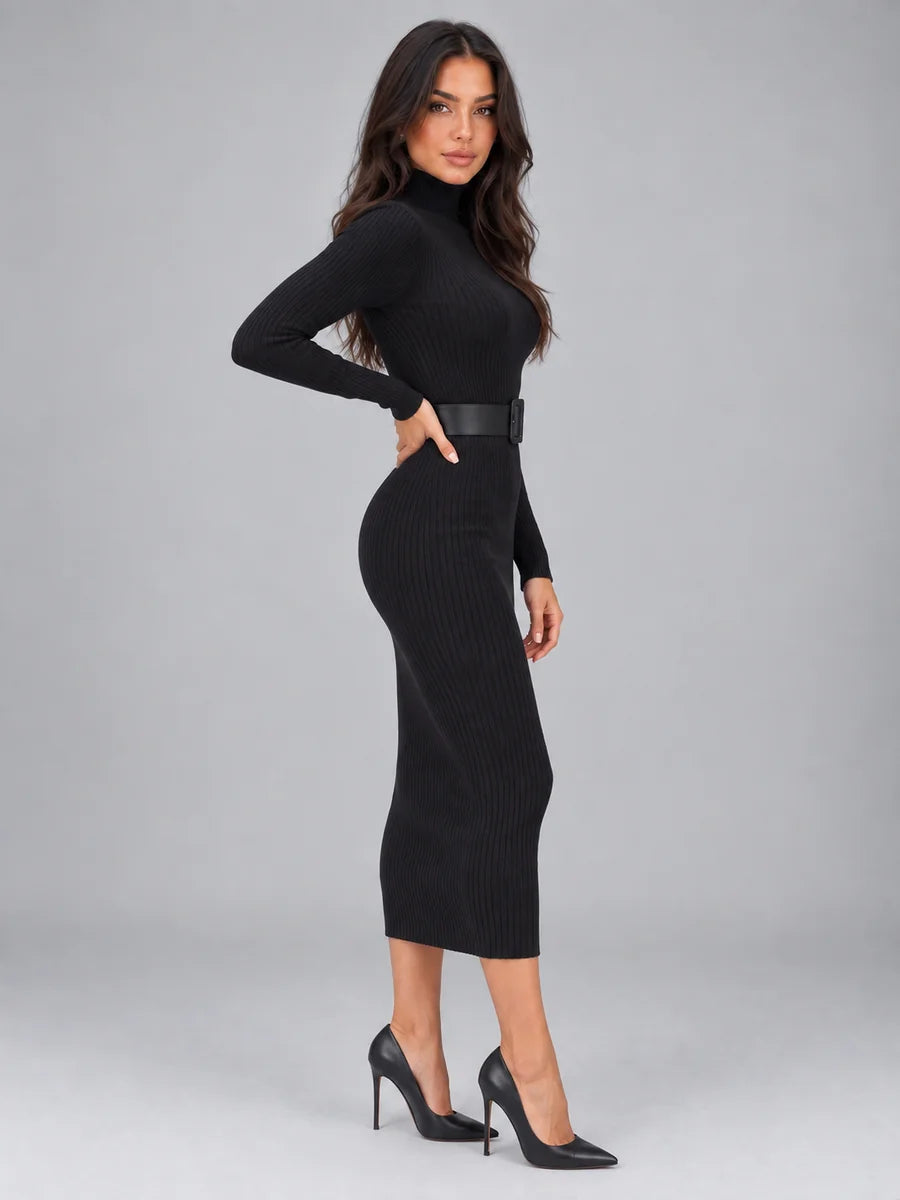 Women’s Ribbed Roll Neck Midi Dress