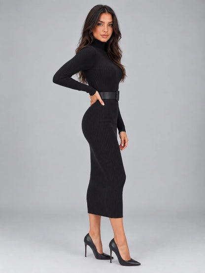 Women’s Ribbed Roll Neck Midi Dress